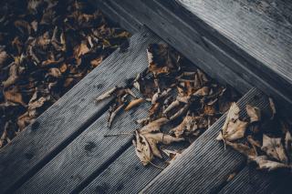 Lames de terrasse en bois grisées, couvertes de feuilles mortes
