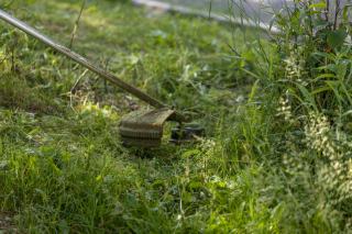 Tête à fil d'une débroussailleuse coupant l'herbe haute en bordure