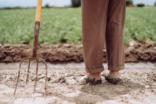 Fourche à bêcher plantée dans une terre de culture fraîchement travaillée