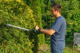 Jardinier taillant un conifère au taille-haie électrique