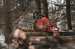 Tronçonneuse rouge posée sur des rondins coupés en forêt