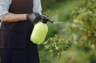 Pulvérisateur vert projetant une fine bruine sur le feuillage d'un arbuste