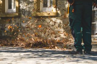Feuilles mortes soufflées le long d'un mur sur des pavés