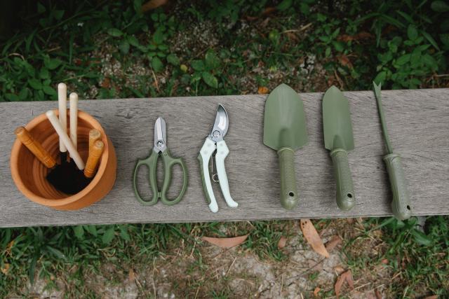 Outils de jardinage à main alignés sur une planche : transplantoir, sécateurs, serfouette et pot en terre cuite