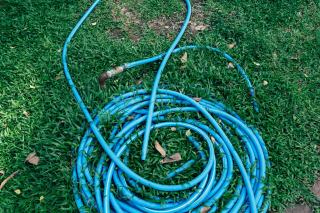 Tuyau d'arrosage bleu enroulé en souplesse sur l'herbe